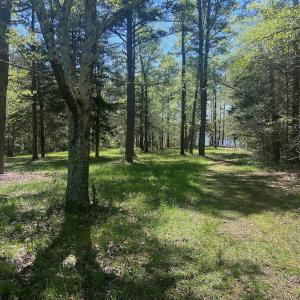 Photo #24 of 900 Buffalo Creek Rd, Buffalo Junction, VA 29.0 acres