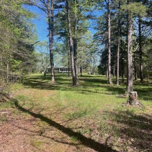 Photo #25 of 900 Buffalo Creek Rd, Buffalo Junction, VA 29.0 acres