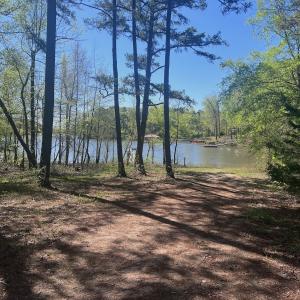 Photo #26 of 900 Buffalo Creek Rd, Buffalo Junction, VA 29.0 acres
