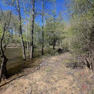 Photo #28 of 900 Buffalo Creek Rd, Buffalo Junction, VA 29.0 acres