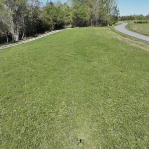 Photo #53 of 900 Buffalo Creek Rd, Buffalo Junction, VA 29.0 acres