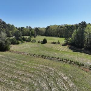 Photo #60 of 900 Buffalo Creek Rd, Buffalo Junction, VA 29.0 acres