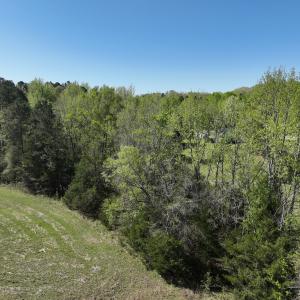 Photo #80 of 900 Buffalo Creek Rd, Buffalo Junction, VA 29.0 acres
