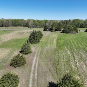 Photo #85 of 900 Buffalo Creek Rd, Buffalo Junction, VA 29.0 acres