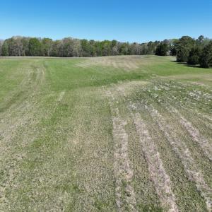 Photo #87 of 900 Buffalo Creek Rd, Buffalo Junction, VA 29.0 acres