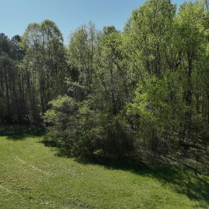Photo #89 of 900 Buffalo Creek Rd, Buffalo Junction, VA 29.0 acres