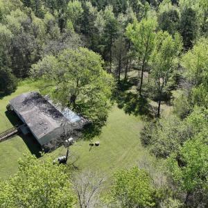 Photo #90 of 900 Buffalo Creek Rd, Buffalo Junction, VA 29.0 acres