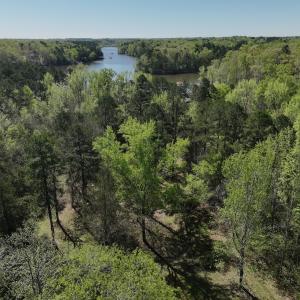 Photo #92 of 900 Buffalo Creek Rd, Buffalo Junction, VA 29.0 acres