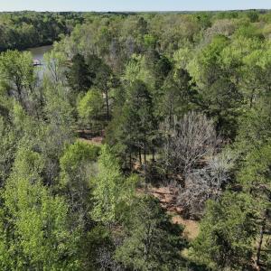 Photo #101 of 900 Buffalo Creek Rd, Buffalo Junction, VA 29.0 acres