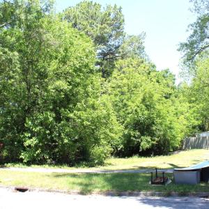 Photo #5 of 204 Lee St NE, Wilson, NC 0.3 acres
