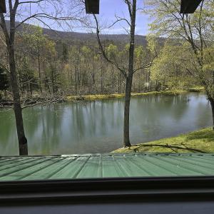 Photo #37 of 1504 Hutchison Rd. New Castle, VA, New Castle , VA 89.0 acres