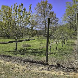 Photo #41 of 1504 Hutchison Rd. New Castle, VA, New Castle , VA 89.0 acres