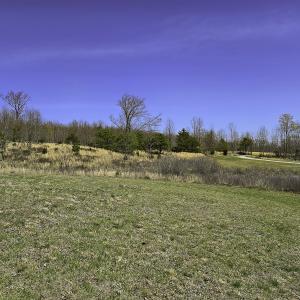Photo #54 of 1504 Hutchison Rd. New Castle, VA, New Castle , VA 89.0 acres