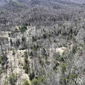 Photo #60 of 1504 Hutchison Rd. New Castle, VA, New Castle , VA 89.0 acres