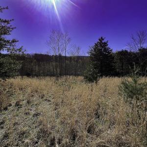 Photo #64 of 1504 Hutchison Rd. New Castle, VA, New Castle , VA 89.0 acres