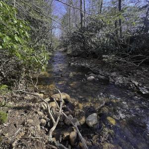 Photo #74 of 1504 Hutchison Rd. New Castle, VA, New Castle , VA 89.0 acres