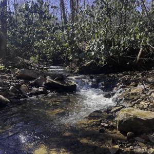Photo #75 of 1504 Hutchison Rd. New Castle, VA, New Castle , VA 89.0 acres