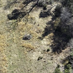 Photo #77 of 1504 Hutchison Rd. New Castle, VA, New Castle , VA 89.0 acres