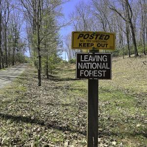 Photo #79 of 1504 Hutchison Rd. New Castle, VA, New Castle , VA 89.0 acres