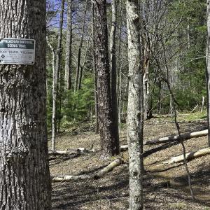 Photo #81 of 1504 Hutchison Rd. New Castle, VA, New Castle , VA 89.0 acres