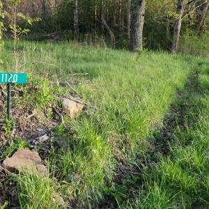Photo #2 of 1120 Sam Snead Highway, Hot Springs, VA 23.6 acres