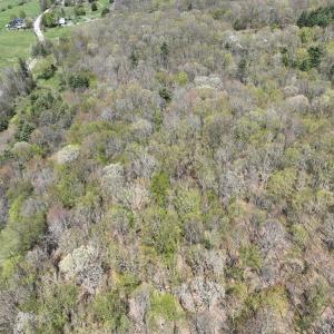 Photo #3 of 1120 Sam Snead Highway, Hot Springs, VA 23.6 acres