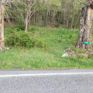 Photo #4 of 1120 Sam Snead Highway, Hot Springs, VA 23.6 acres
