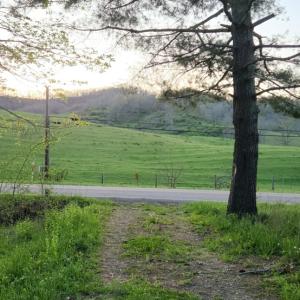 Photo #8 of 1120 Sam Snead Highway, Hot Springs, VA 23.6 acres