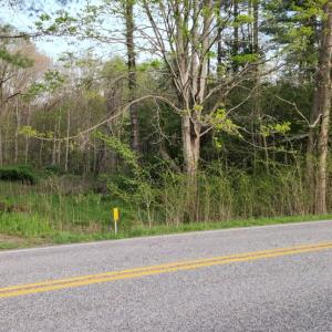 Photo #11 of 1120 Sam Snead Highway, Hot Springs, VA 23.6 acres