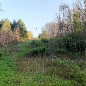 Photo #15 of 1120 Sam Snead Highway, Hot Springs, VA 23.6 acres