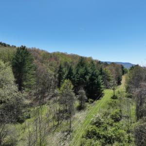 Photo #16 of 1120 Sam Snead Highway, Hot Springs, VA 23.6 acres