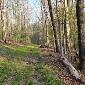 Photo #17 of 1120 Sam Snead Highway, Hot Springs, VA 23.6 acres