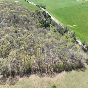 Photo #18 of 1120 Sam Snead Highway, Hot Springs, VA 23.6 acres