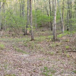 Photo #19 of 1120 Sam Snead Highway, Hot Springs, VA 23.6 acres