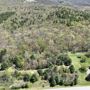Photo #22 of 1120 Sam Snead Highway, Hot Springs, VA 23.6 acres