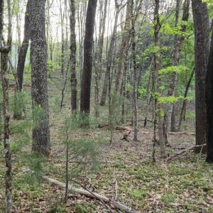 Photo #23 of 1120 Sam Snead Highway, Hot Springs, VA 23.6 acres