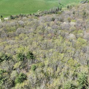 Photo #24 of 1120 Sam Snead Highway, Hot Springs, VA 23.6 acres