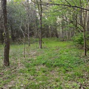 Photo #27 of 1120 Sam Snead Highway, Hot Springs, VA 23.6 acres