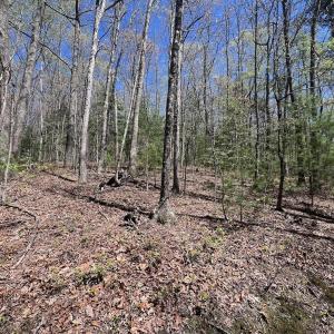 Photo #28 of 1120 Sam Snead Highway, Hot Springs, VA 23.6 acres