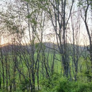 Photo #31 of 1120 Sam Snead Highway, Hot Springs, VA 23.6 acres
