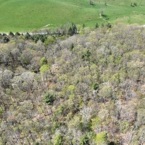 Photo #32 of 1120 Sam Snead Highway, Hot Springs, VA 23.6 acres