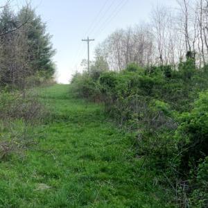 Photo #35 of 1120 Sam Snead Highway, Hot Springs, VA 23.6 acres