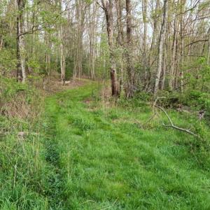 Photo #37 of 1120 Sam Snead Highway, Hot Springs, VA 23.6 acres