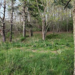 Photo #40 of 1120 Sam Snead Highway, Hot Springs, VA 23.6 acres