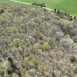 Photo #41 of 1120 Sam Snead Highway, Hot Springs, VA 23.6 acres