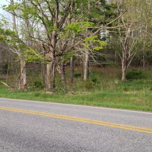 Photo #42 of 1120 Sam Snead Highway, Hot Springs, VA 23.6 acres