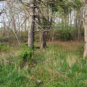 Photo #43 of 1120 Sam Snead Highway, Hot Springs, VA 23.6 acres