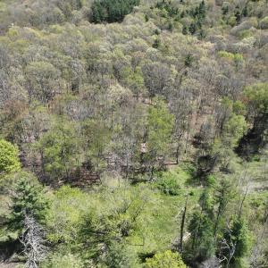 Photo #45 of 1120 Sam Snead Highway, Hot Springs, VA 23.6 acres