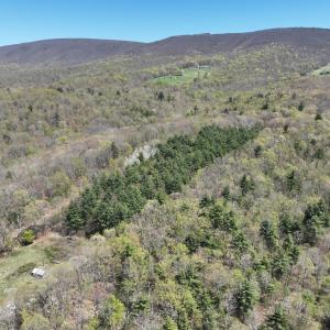 Photo #50 of 1120 Sam Snead Highway, Hot Springs, VA 23.6 acres