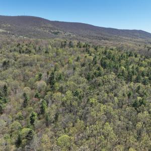 Photo #51 of 1120 Sam Snead Highway, Hot Springs, VA 23.6 acres